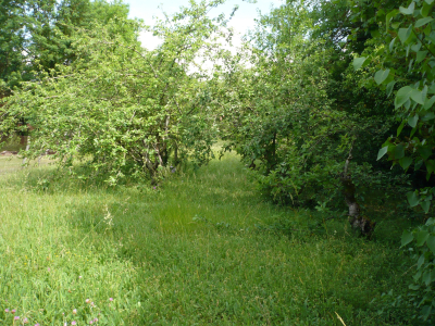 TERRAIN A BATIR