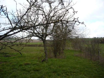 TERRAIN A BATIR