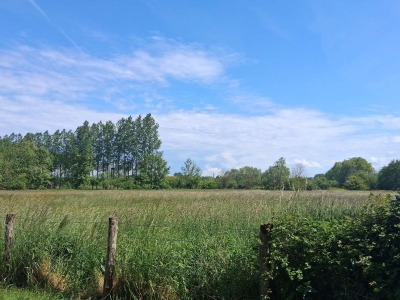 TERRAIN DE 12670m²