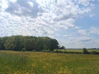 TERRAIN DE 5140m²